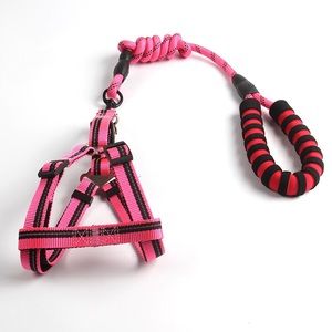 Strong and tough dog harnesses and leash - pink